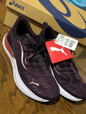 PUMA 미드나잇 플럼/로즈 골드