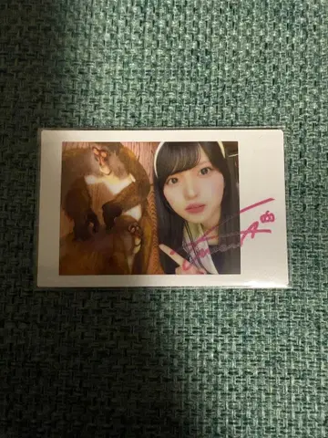 팬텀 시타 모나 친필 사인 폴라로이드