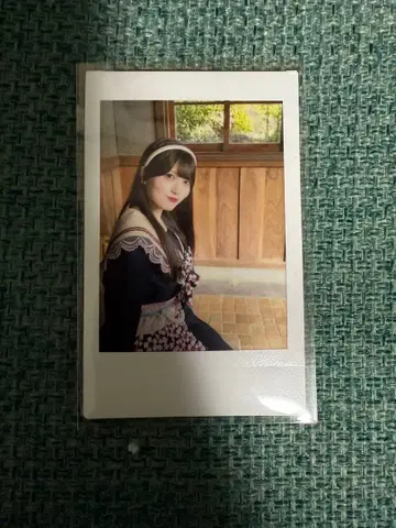 팬텀 시타 모나 폴라로이드