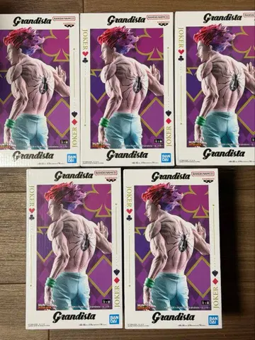 HUNTER x HUNTER grandista 히소카 5체