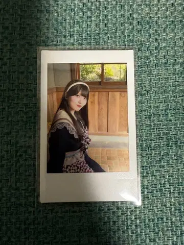 팬텀 시타 모나 폴라로이드