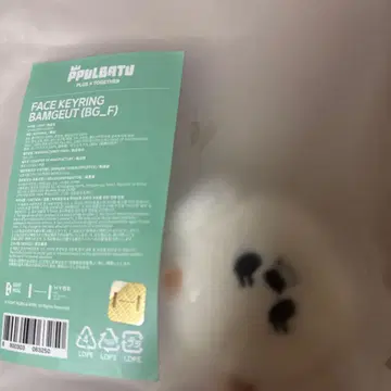 미개봉 새상품 TXT 뿔바투 페이스 키링 범규