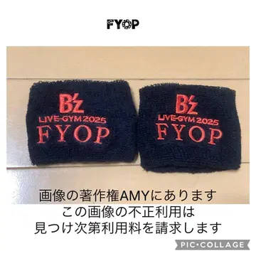 B'z FYOP 가챠가챠 리스트 밴드
