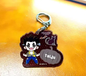 Dr.STONE 타이쥬 아크릴 키링