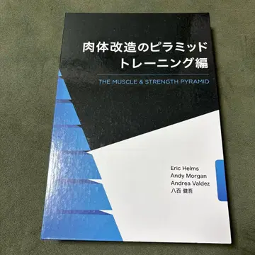 신체 개조의 피라미드 트레이닝 편