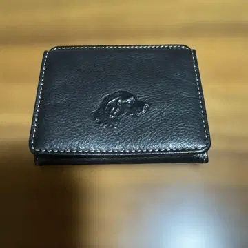 코인 케이스 kitamura 강아지