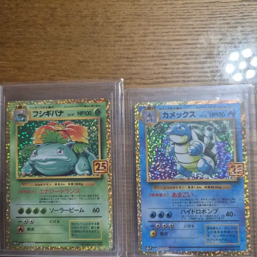 Blastoise Venusaur 25th Anniversary Japanese Pokemon Card on Bunjang Global  Site.