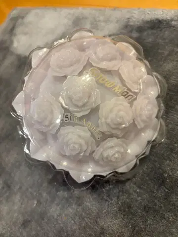 Snow World 응원봉 SnowMan