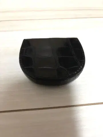 크로커다일 코인 케이스