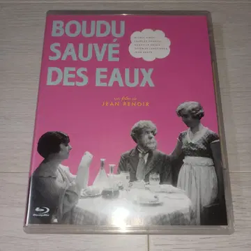 멋진 방랑자 ('32 프랑스)