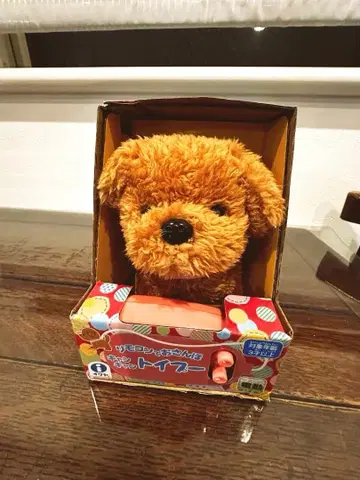 리모컨으로 산책 캔캔 토이푸