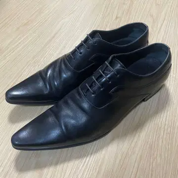 돌체앤가바나 포인티드 슈즈