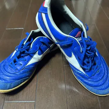 [한정 컬러] 모렐리아 풋살화 26cm