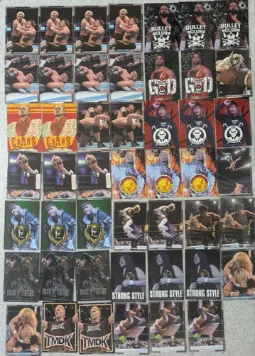 부시로드 트레이딩 카드 컬렉션 신일본 프로레슬링 48장