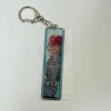 토도로키 쇼토 키링 히로아카 원화전