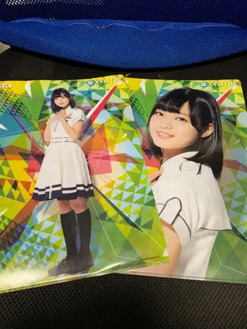 케야키자카46 히라테 유리나 등 자일리톨 클리어 파일 8장 세트