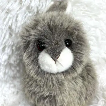 NATURE LAND 토끼 봉제 인형 레어