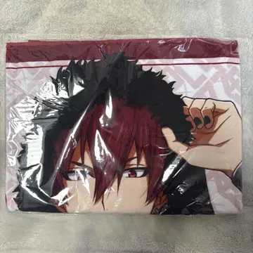 아이나나 LIVECOSTUMEEXHIBITION 빅 타월 이누마루 토마