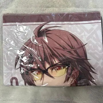 아이나나 LIVECOSTUMEEXHIBITION 빅 타월 미도 토라오