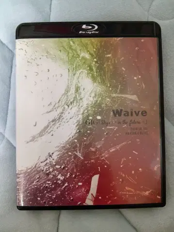 Waive 라이브 블루레이 Days-in the future