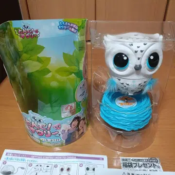 토인데 오리 슈가 화이트