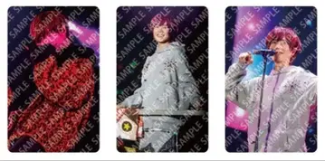 우라시마사카타센 WARN12G 랜덤 미니 포토 카드 사카타 3종