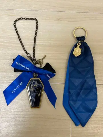 트위스테 이데아 슈라우드 리본 백참 넥타이 참