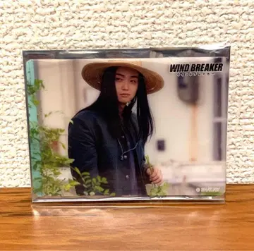 [ WIND BREAKER ] 윈브레 스기시타 쿄타 JUNON 오프샷 B