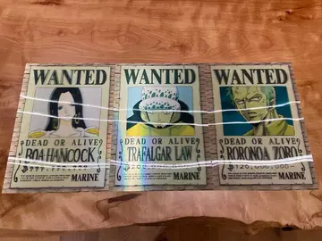 원피스 3D 현상 수배서