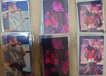 우라시마사카타센 WARN12G 사후 통신 판매 랜덤 포토 카드 우라타누키