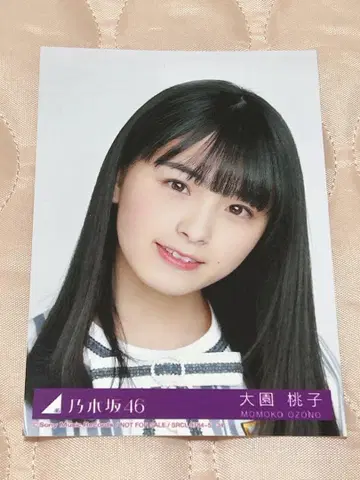 노기자카46 오오조노 모모코 포트레이트 사진