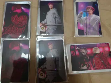 토나리노 사카타. WARN12G 포토 카드