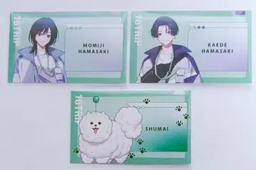 [ 에이트리 ] 하마사키 모미지 하마사키 카에데 슈마이 애니메이트 특전