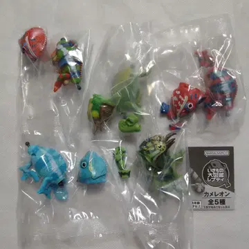 생물대도감 쁘띠 카멜레온 전 5종 세트