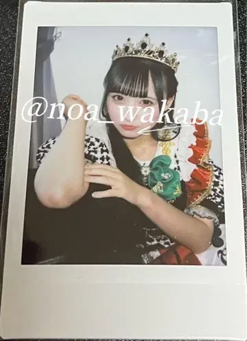 iLiFE! 와카바노아 란체키 카드놀이 의상 할로윈