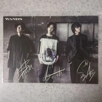 WANDS musing 혜택 아티스트 카드