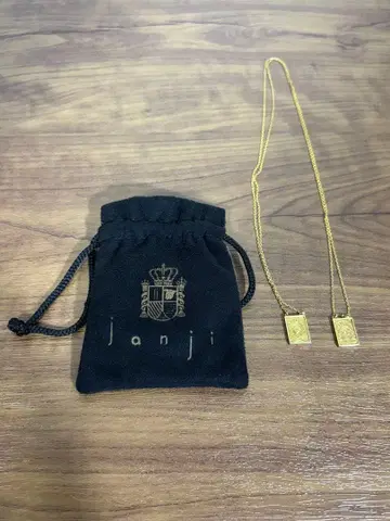 아카니시 진 착용 모델 Janji 마리에스