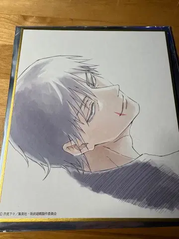 주술회전전 회옥옥절 후시구로 토우지 미니 색지