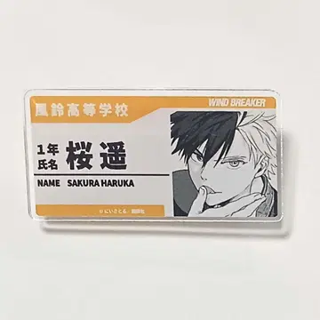 새상품 최애와 아메 윈드브레이커 명찰풍 아크릴 배지 사쿠라 하루카