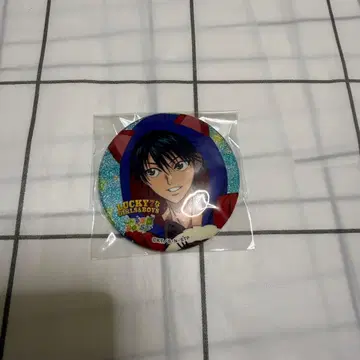 신 테니스의 왕자님 테니프리 요츠바 BOYS 샤이니 캔뱃지 에치젠 료마