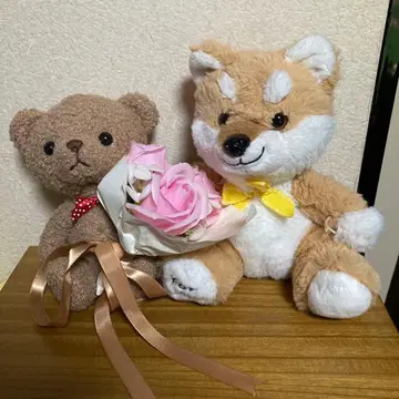 곰과 강아지 봉제 인형 꽃다발 포함