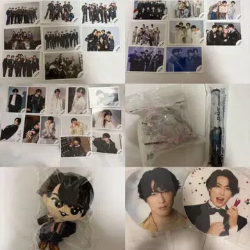 미야타테 료타(RAYS, Snow World) 설명란 필견