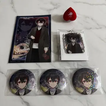 컬러풀 피치 유안군 도부 동물공원 콜라보 묶음 판매 덤 포함