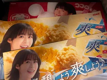 롯데 모리 나나 패널 유키미다이후쿠 소우