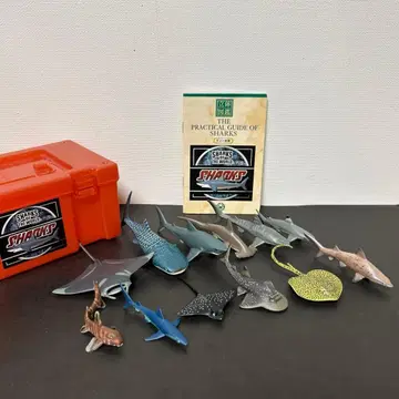 [ 개봉 완료 완품 ] 카롤라타 입체도감 상어의 동료들