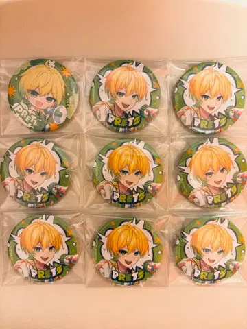 프릿츠 캔뱃지 9개 세트