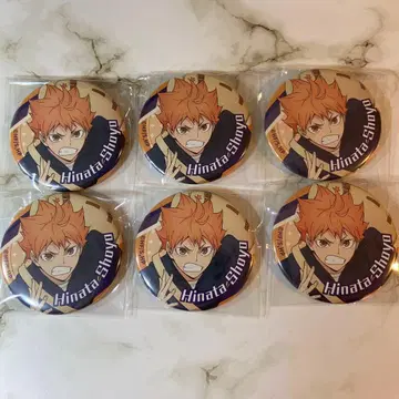 하이큐 점페스 2026 한정판 아침 연습 애니메이트 히나타 묶음 판매