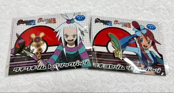 포켓몬 헬스장 배지 컬렉션 후우로 호미카