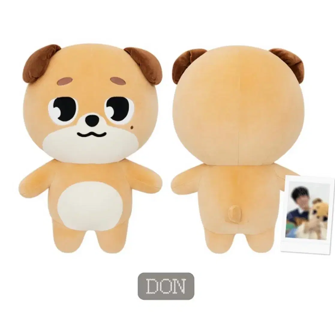 DAY6 | 데이식스 DAY6 Giant Denimalz DON Dowoon on Bunjang Global Site.