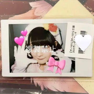 큐루링 해봐 2025 생탄 폴라로이드 치바 유나